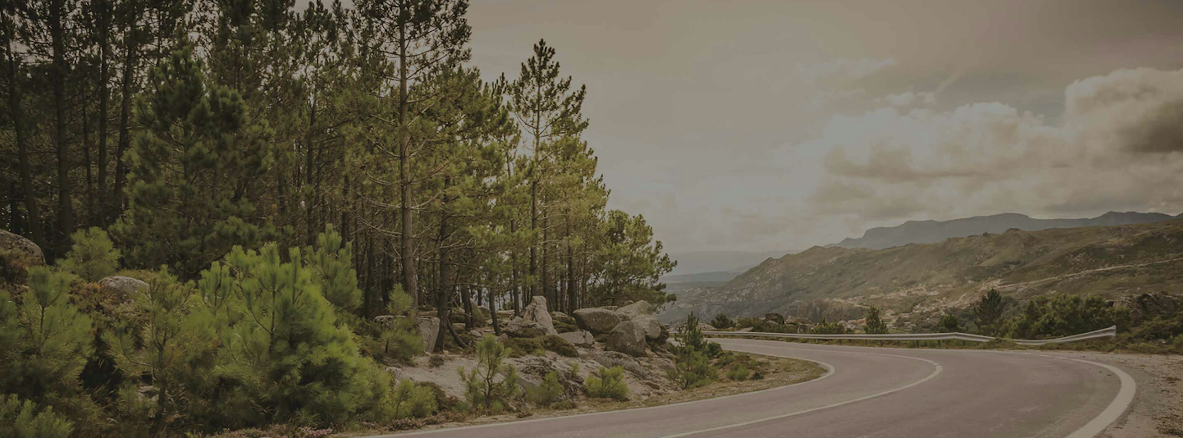 Forêt